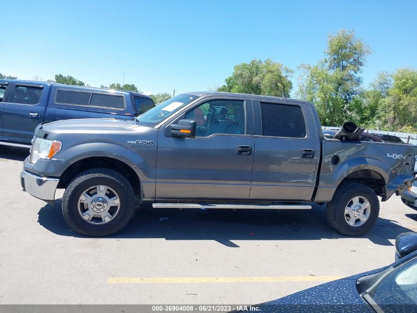 2013 FORD F-150 XL/XLT/FX4/LARIAT - 1FTFW1EF0DFD70900