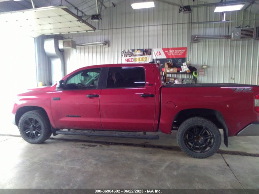 2020 TOYOTA TUNDRA 2WD SR5 5TFEY5F18LX261853