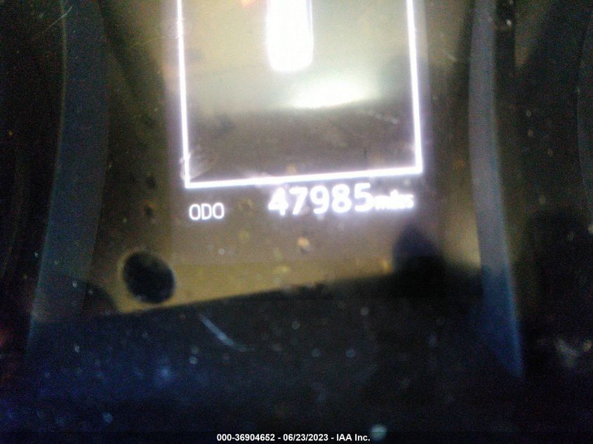 2019 TOYOTA CAMRY L/LE/XLE/SE/XSE - 4T1B11HK2KU177190