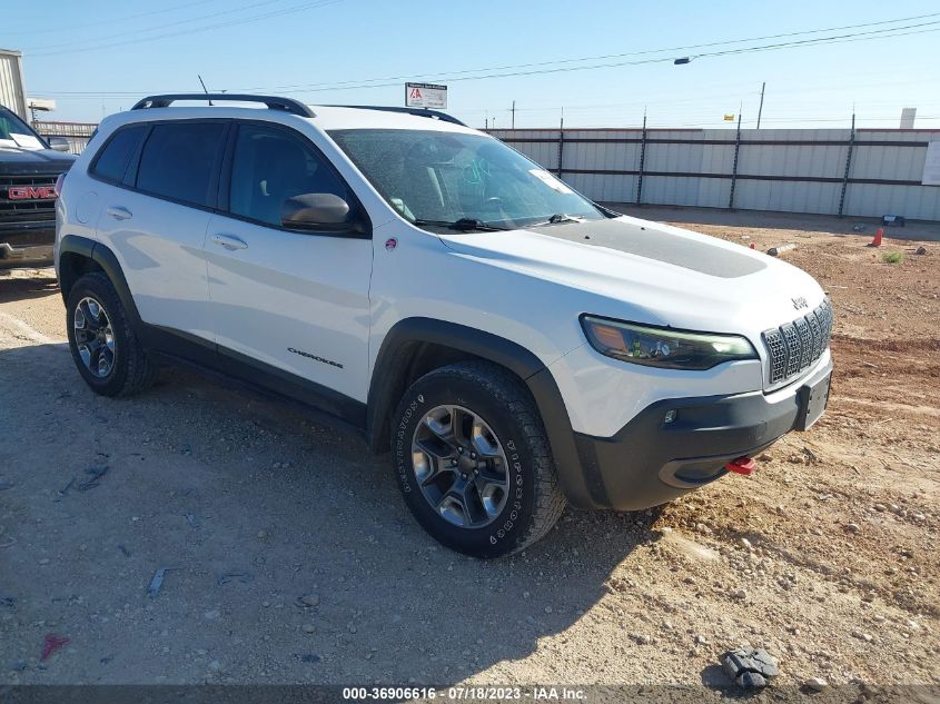 2019 JEEP CHEROKEE TRAILHAWK - 1C4PJMBXXKD395412