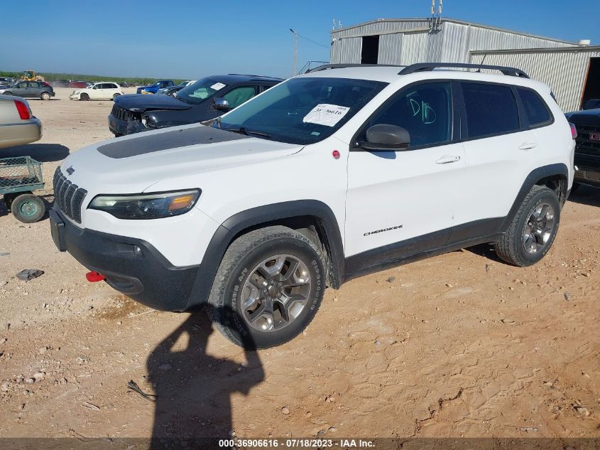2019 JEEP CHEROKEE TRAILHAWK - 1C4PJMBXXKD395412
