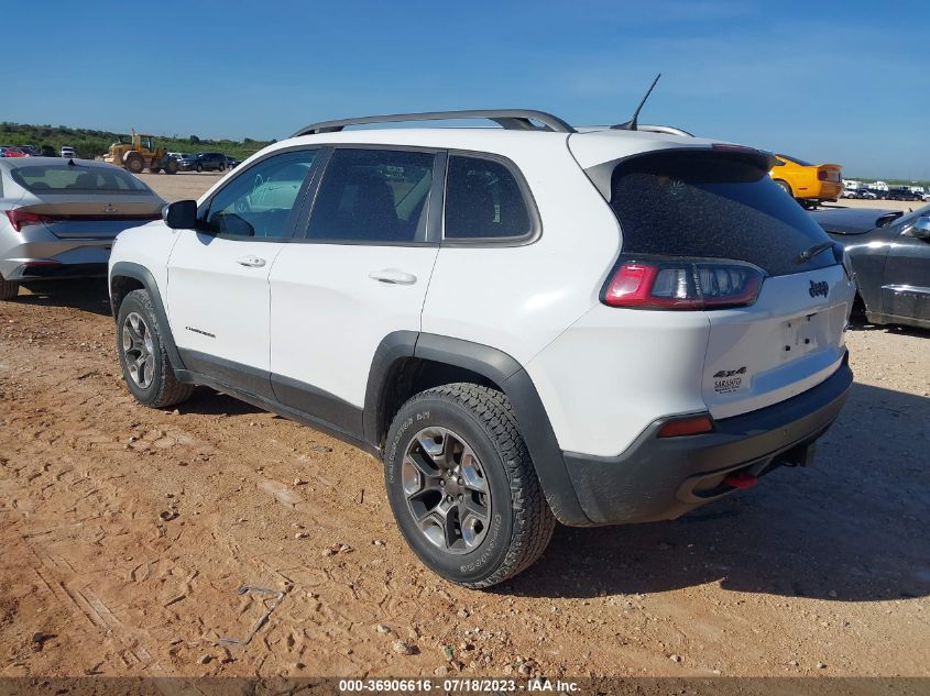 2019 JEEP CHEROKEE TRAILHAWK - 1C4PJMBXXKD395412