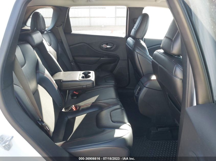 2019 JEEP CHEROKEE TRAILHAWK - 1C4PJMBXXKD395412