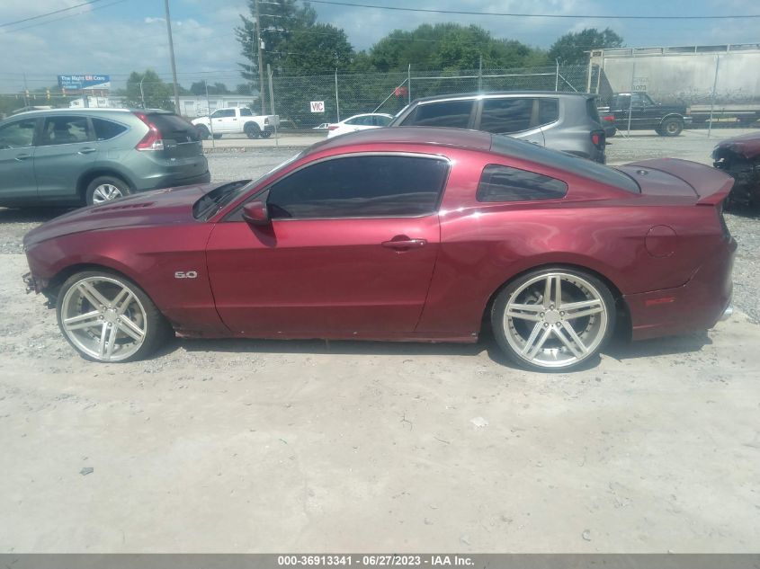 2014 FORD MUSTANG GT - 1ZVBP8CF9E5319553