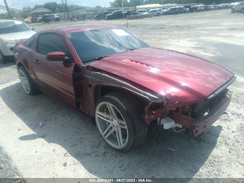 2014 FORD MUSTANG GT - 1ZVBP8CF9E5319553