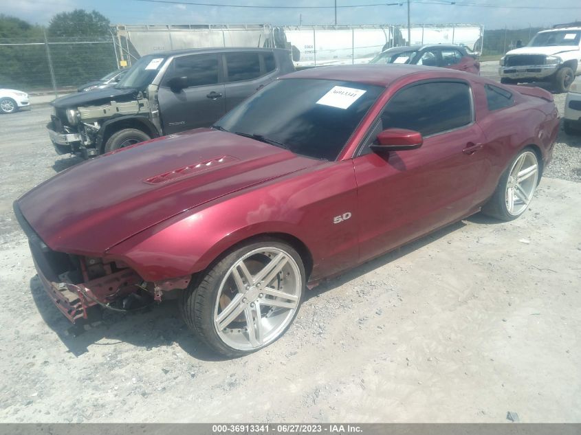 2014 FORD MUSTANG GT - 1ZVBP8CF9E5319553