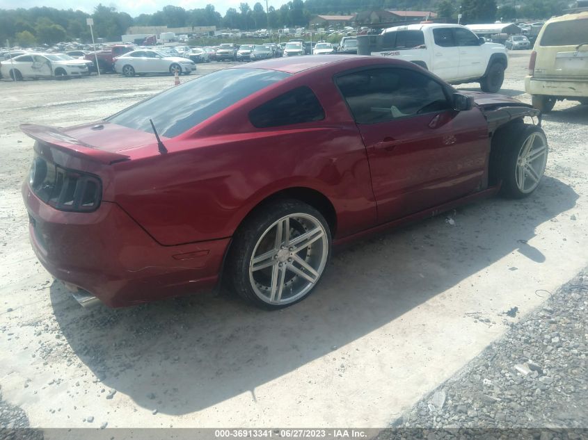 2014 FORD MUSTANG GT - 1ZVBP8CF9E5319553