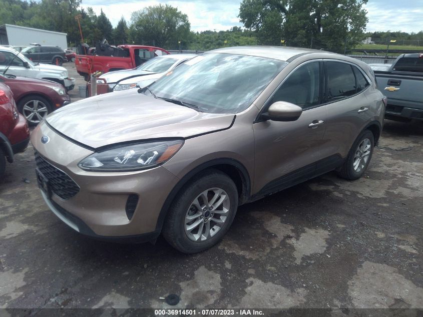 1FMCU0G61LUB06316 2020 FORD ESCAPE - Image 2