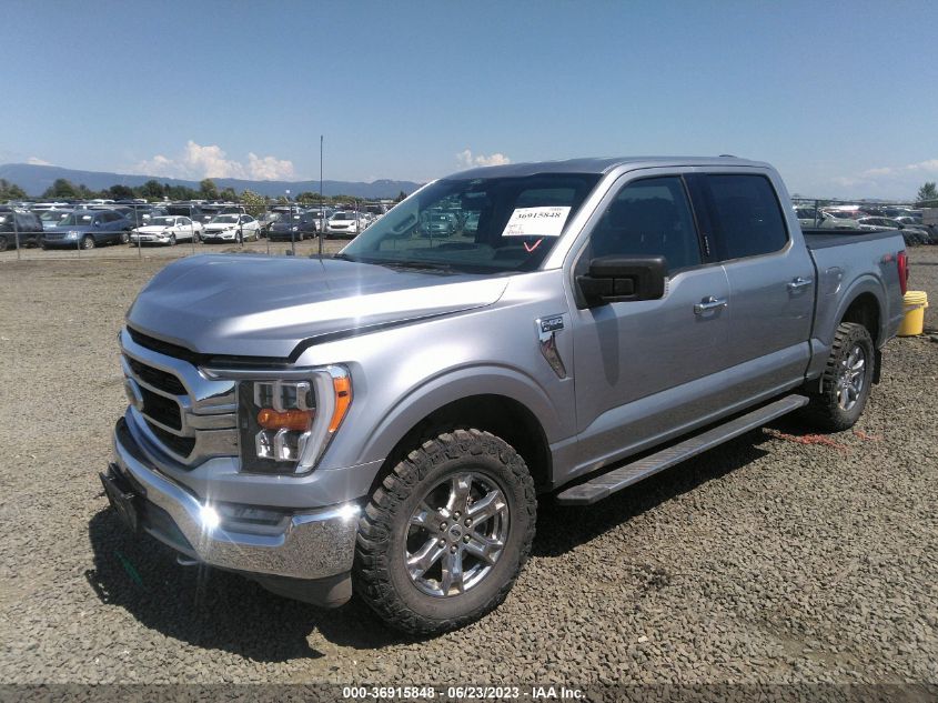 2021 FORD F-150 XL/XLT - 1FTEW1EB2MFC96145