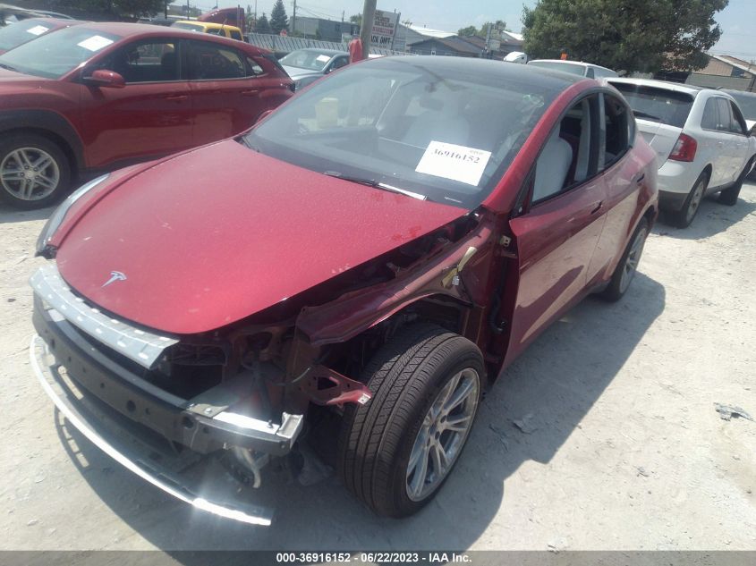 2023 TESLA MODEL Y - 7SAYGDEE3PF743924