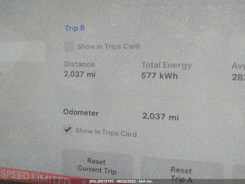 2023 TESLA MODEL Y - 7SAYGDEE3PF743924