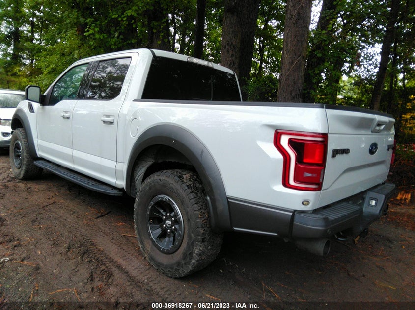 VIN 1FTFW1RG8HFB34018 2017 FORD F-150 RAPTOR