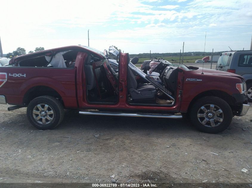 2013 FORD F-150 XL/XLT/FX4/LARIAT - 1FTFW1ET2DFD24426