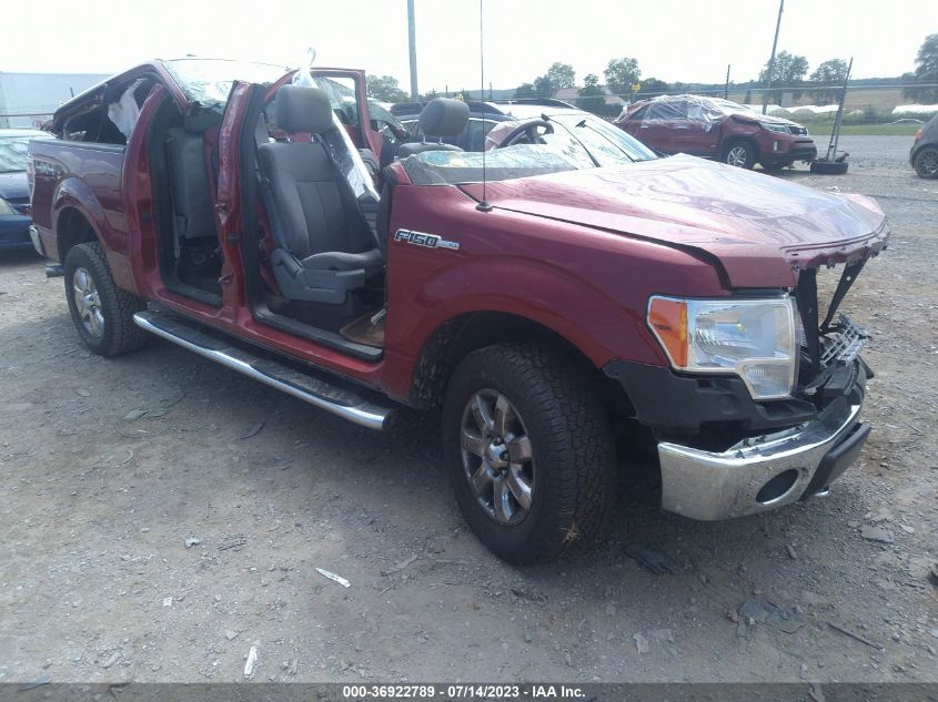 2013 FORD F-150 XL/XLT/FX4/LARIAT - 1FTFW1ET2DFD24426