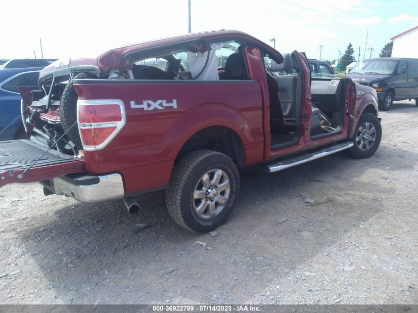 2013 FORD F-150 XL/XLT/FX4/LARIAT - 1FTFW1ET2DFD24426