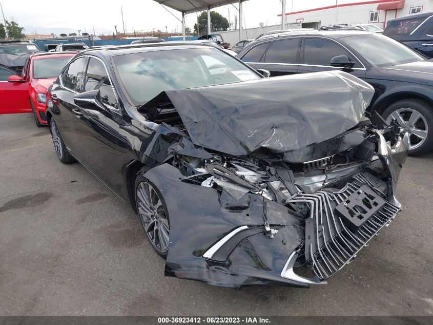 2021 LEXUS ES 300H - 58ADA1C1XMU010465