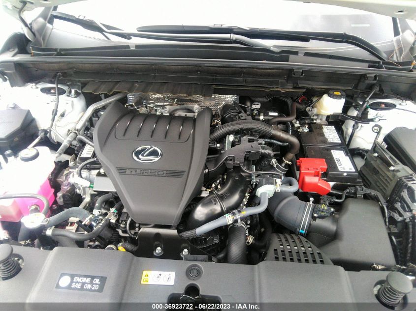 2022 LEXUS NX - 2T2KGCEZ3NC003027