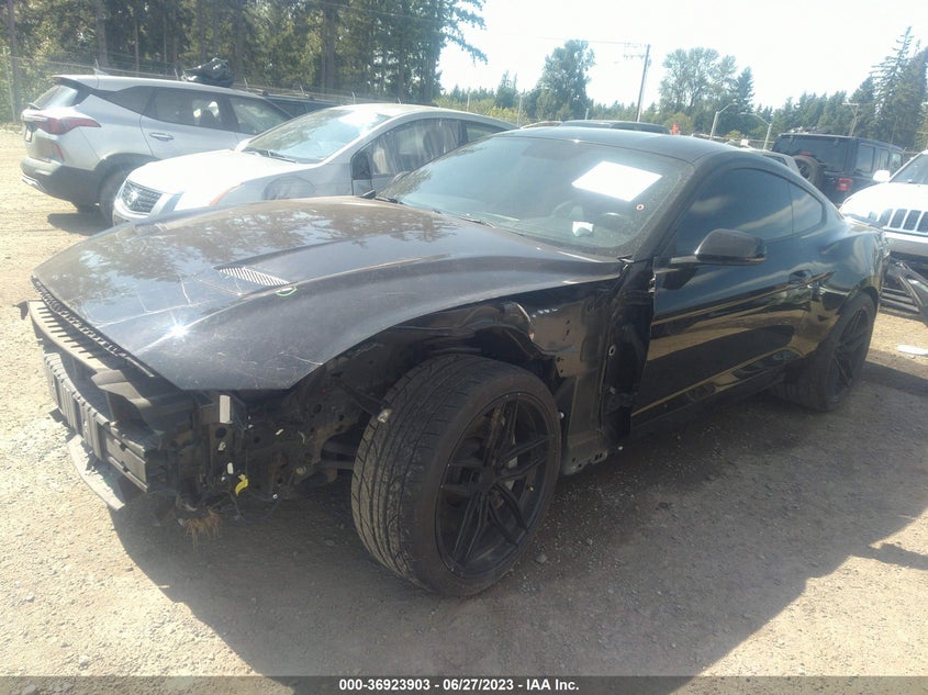 VIN 1FA6P8CF6L5118703 2020 FORD MUSTANG GT