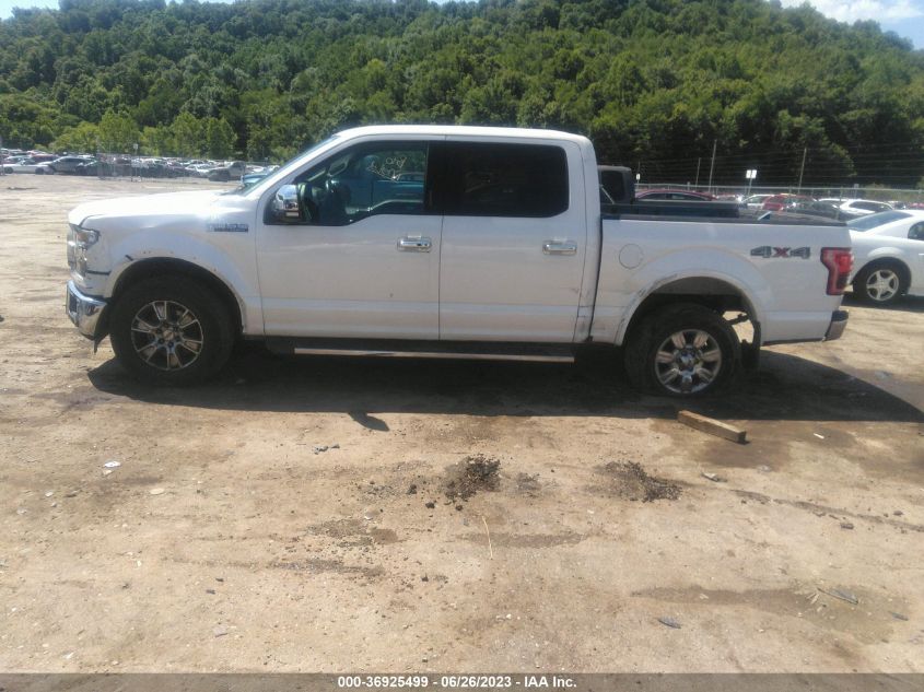 2015 FORD F-150 XLT/XL/LARIAT/PLATINUM - 1FTEW1EF1FFB31662