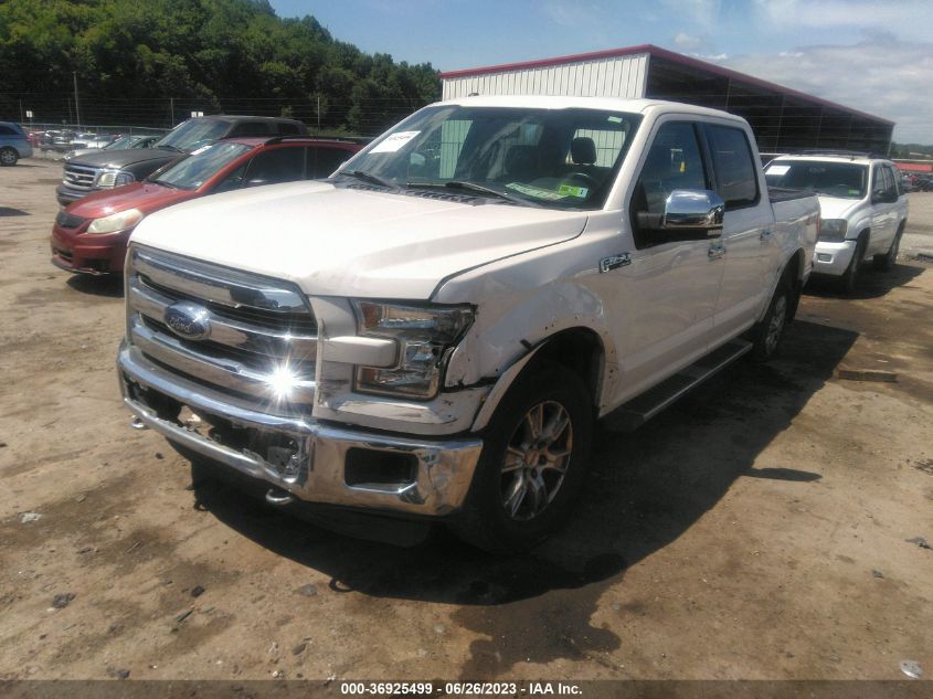 2015 FORD F-150 XLT/XL/LARIAT/PLATINUM - 1FTEW1EF1FFB31662