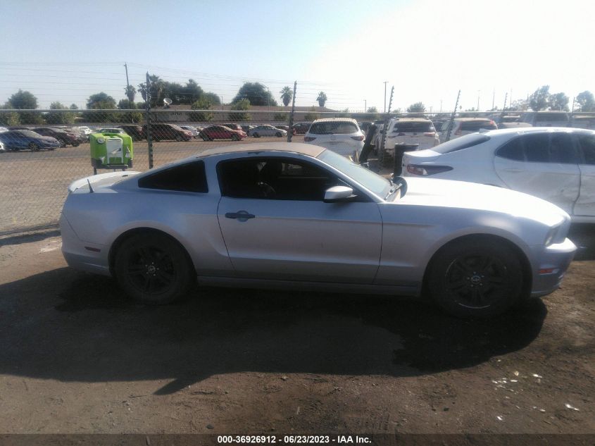 2013 FORD MUSTANG V6 - 1ZVBP8AM3D5209985