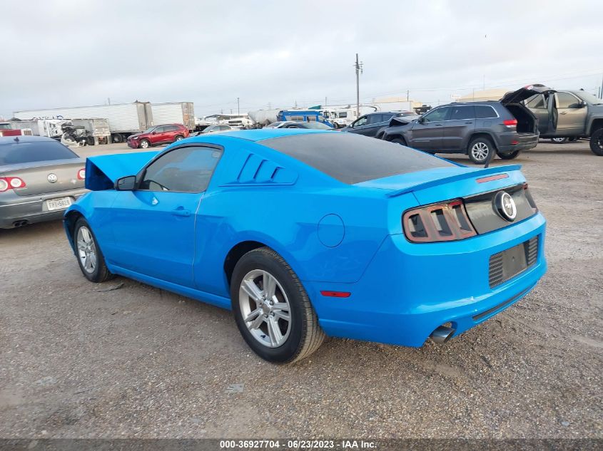 2013 FORD MUSTANG - 1ZVBP8AM7D5240611