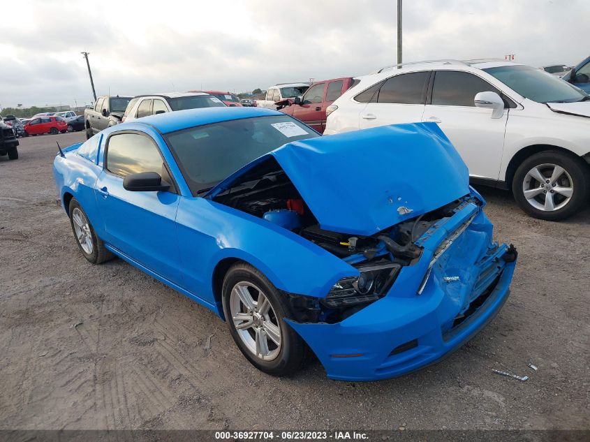 2013 FORD MUSTANG - 1ZVBP8AM7D5240611