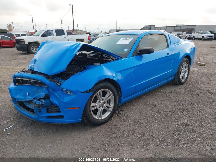 2013 FORD MUSTANG - 1ZVBP8AM7D5240611