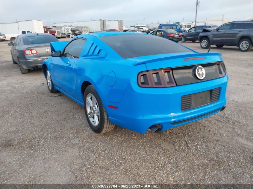 2013 FORD MUSTANG - 1ZVBP8AM7D5240611