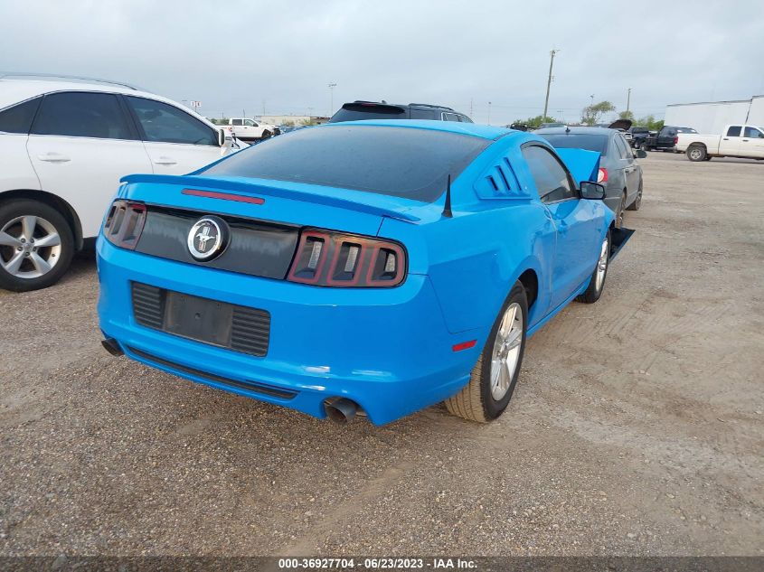 2013 FORD MUSTANG - 1ZVBP8AM7D5240611