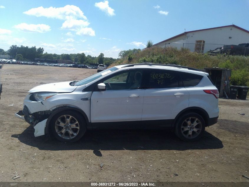 2013 FORD ESCAPE SE - 1FMCU0GX2DUA45584