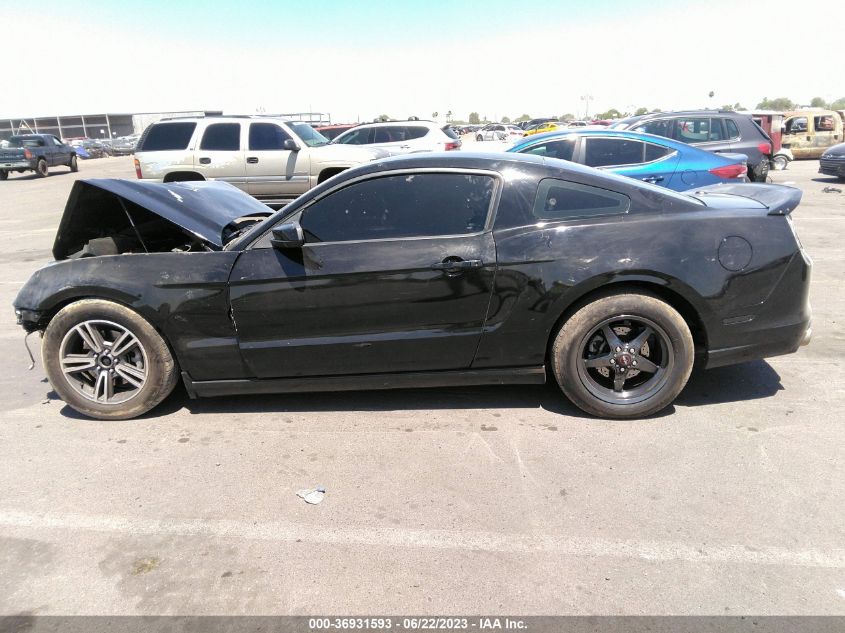 2013 FORD MUSTANG V6 - 1ZVBP8AM5D5208465