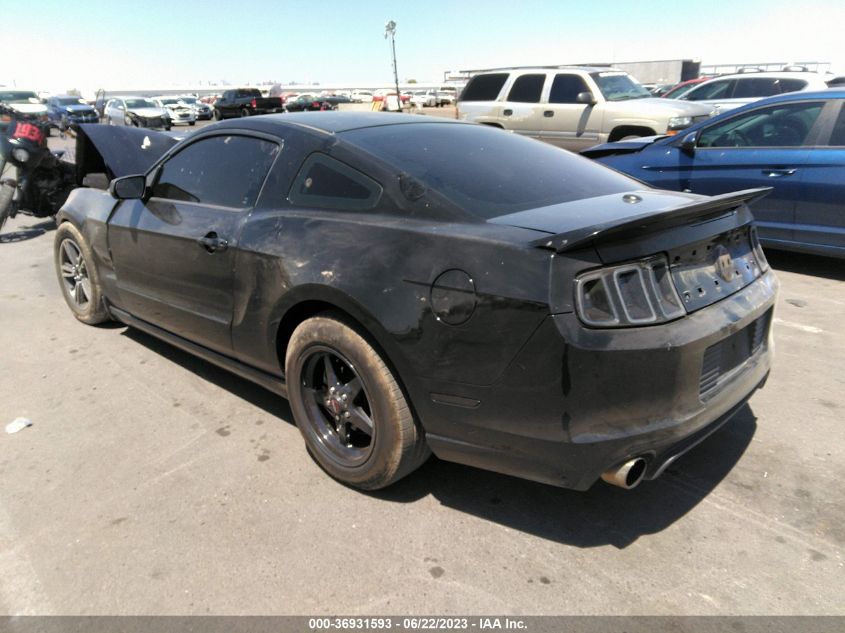 2013 FORD MUSTANG V6 - 1ZVBP8AM5D5208465