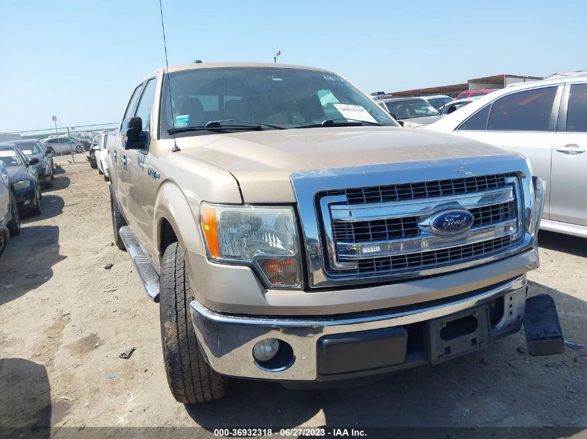 2013 FORD F-150 XL/XLT/FX2/LARIAT - 1FTFW1CF9DKF94211