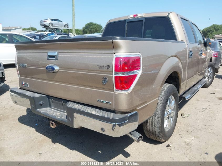 2013 FORD F-150 XL/XLT/FX2/LARIAT - 1FTFW1CF9DKF94211