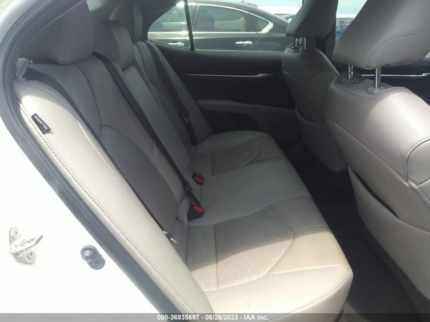 2019 TOYOTA CAMRY XSE - 4T1B61HKXKU806552