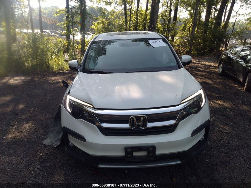 2019 HONDA PILOT EX-L W/NAVI & RES - 5FNYF6H44KB028349