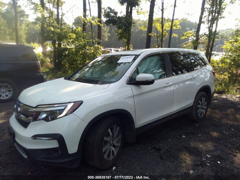 2019 HONDA PILOT EX-L W/NAVI & RES - 5FNYF6H44KB028349