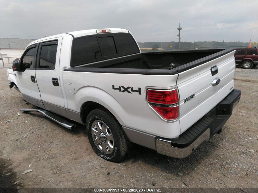 2014 FORD F-150 XL/XLT/STX/FX4/LARIAT - 1FTFW1EF8EFC87250