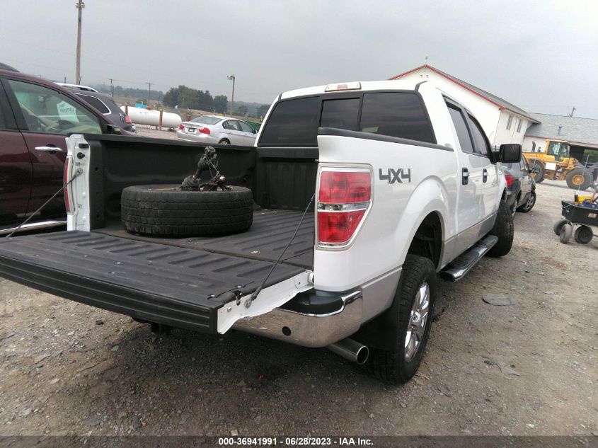 2014 FORD F-150 XL/XLT/STX/FX4/LARIAT - 1FTFW1EF8EFC87250