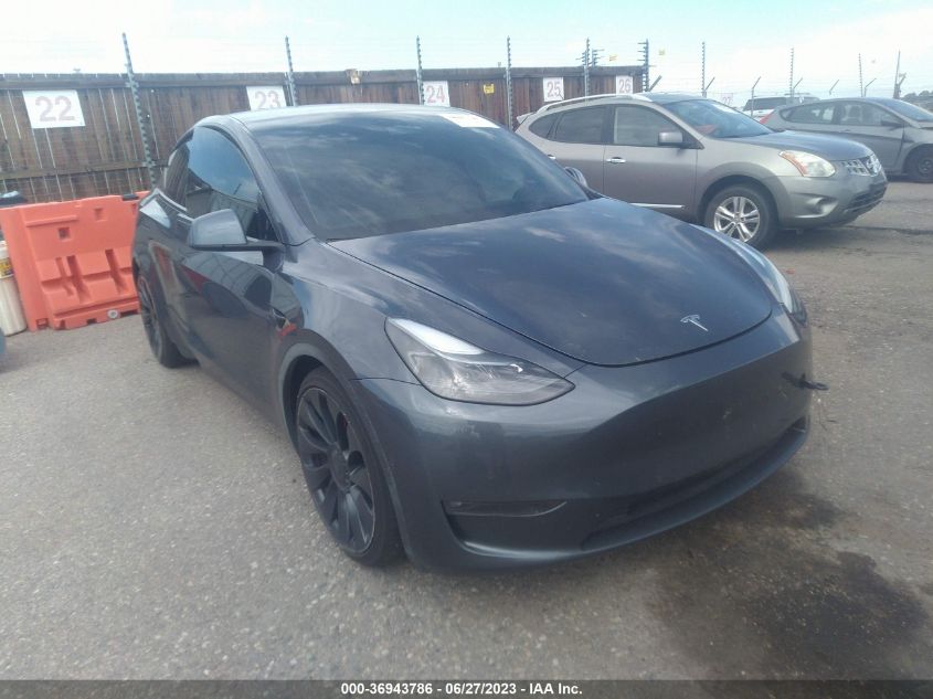 2022 TESLA MODEL Y - 7SAYGDEF9NF543216