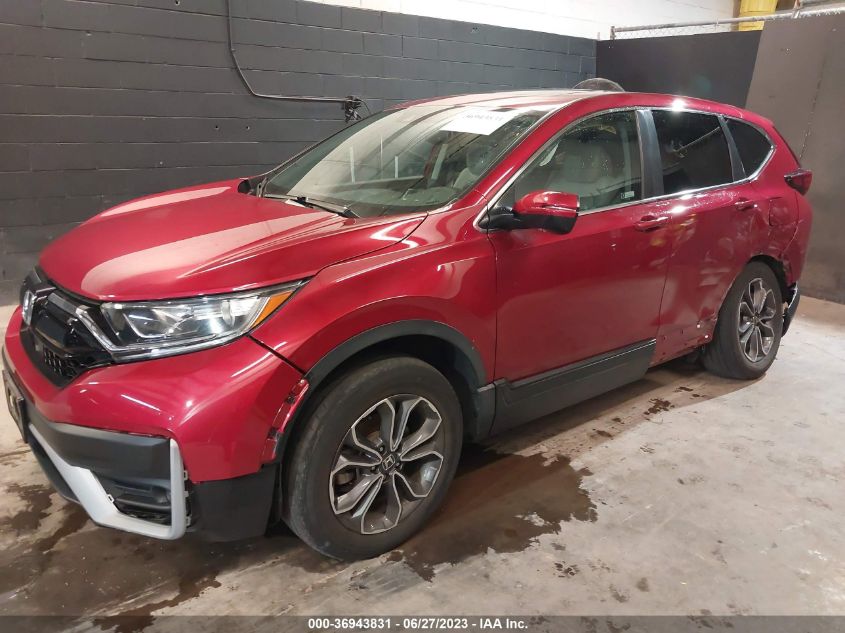 2020 HONDA CR-V EX-L - 2HKRW2H81LH632184