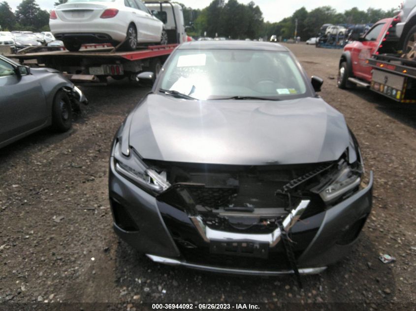 2019 NISSAN MAXIMA SL - 1N4AA6AV5KC374657