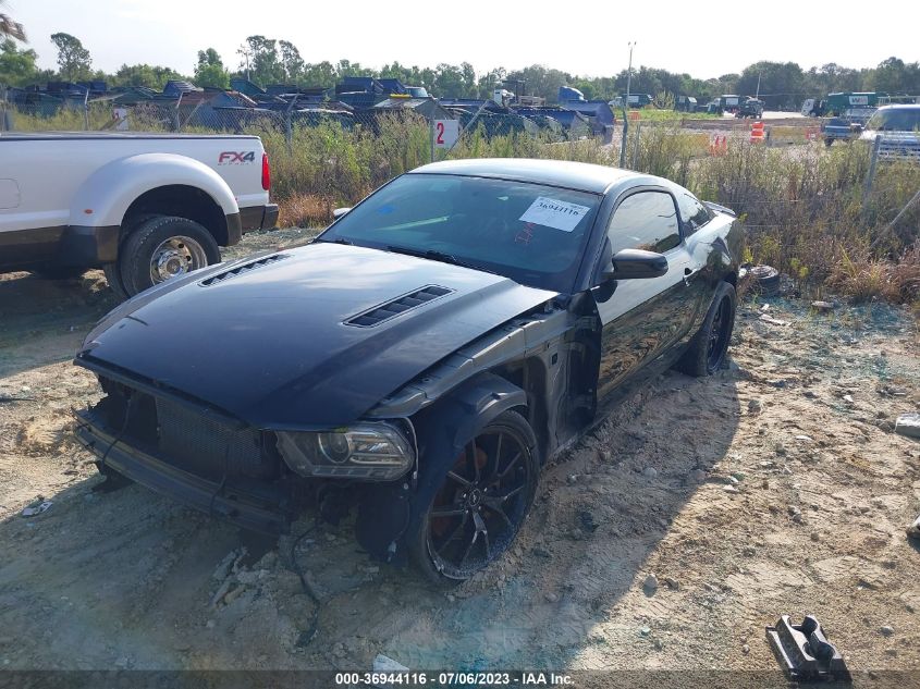 2013 FORD MUSTANG GT - 1ZVBP8CF3D5200377