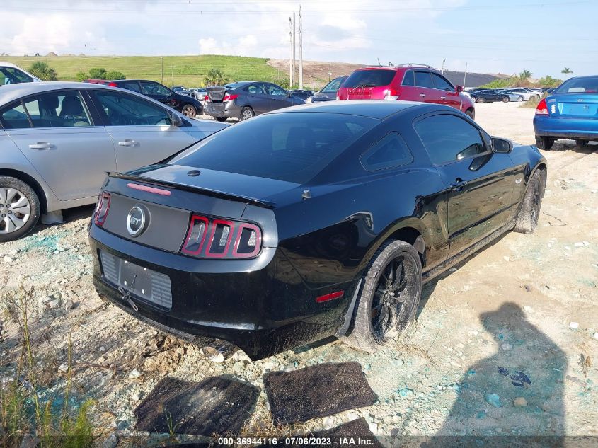 2013 FORD MUSTANG GT - 1ZVBP8CF3D5200377