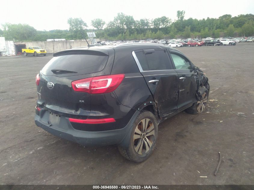 2013 KIA SPORTAGE EX - KNDPCCA21D7535097