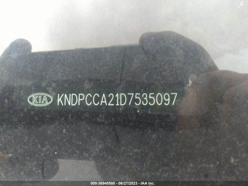 2013 KIA SPORTAGE EX - KNDPCCA21D7535097