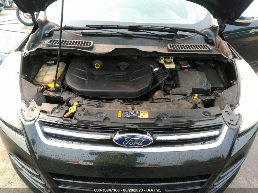 2013 FORD ESCAPE SEL - 1FMCU9H91DUA07736