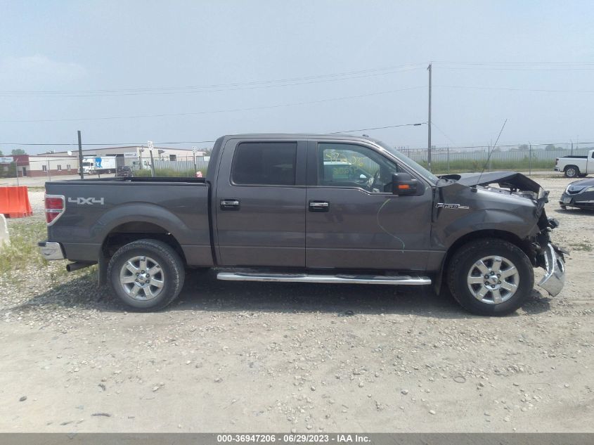2013 FORD F-150 XL/XLT/FX4/LARIAT - 1FTFW1EFXDKD13921