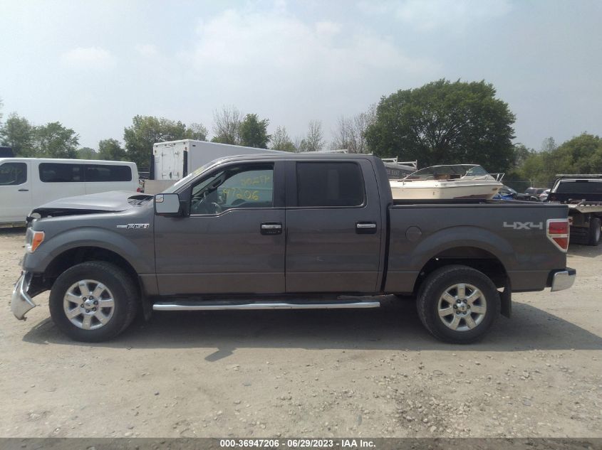 2013 FORD F-150 XL/XLT/FX4/LARIAT - 1FTFW1EFXDKD13921